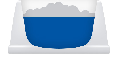 Días 5-6